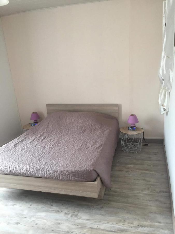 Jumeaux Petite Maison Au Coeur De L Auvergne מראה חיצוני תמונה